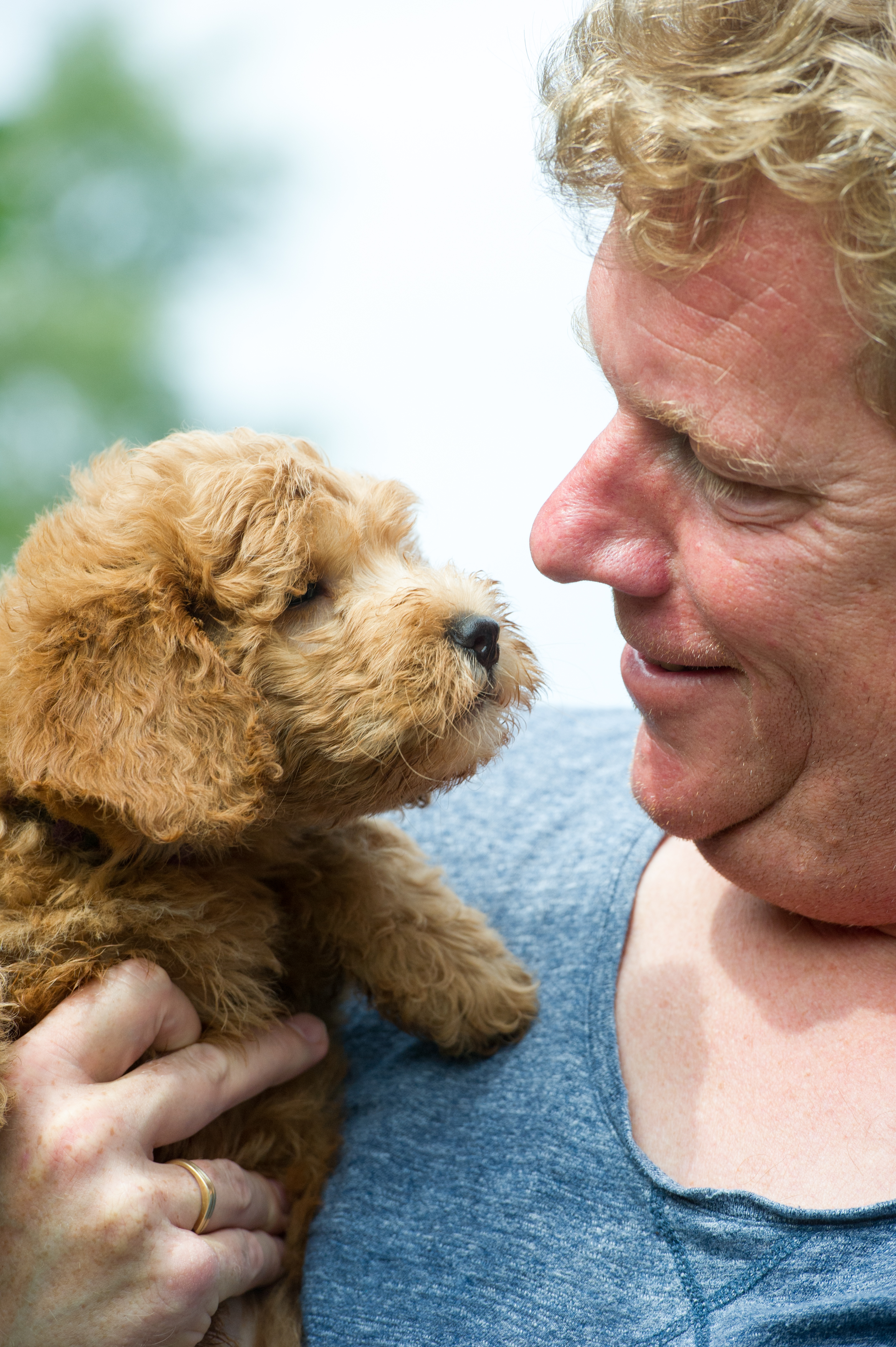 puppies--6848.jpg